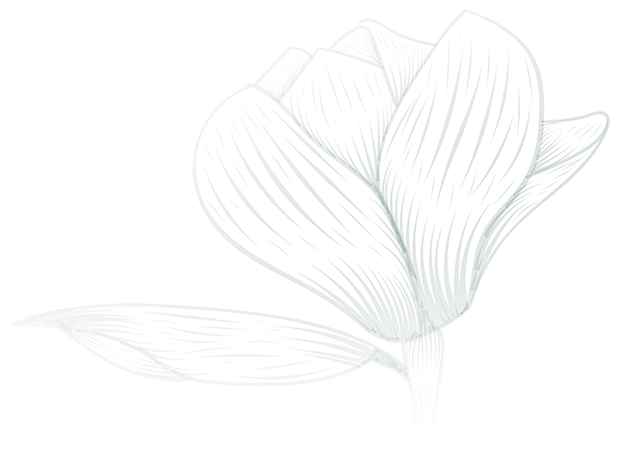 artistic trillium